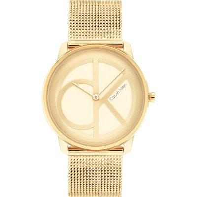 Montre Calvin Klein 25200034 Iconic