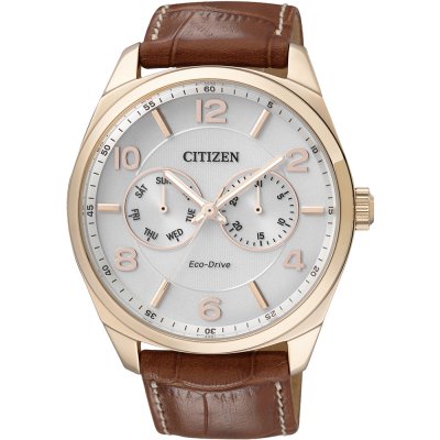 Montre Citizen Elegance AO9024-16A