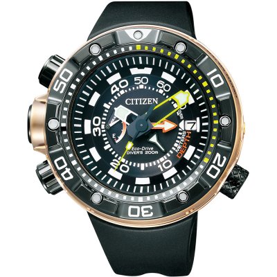 Montre Citizen Marine BN2025-02E Promaster Sea