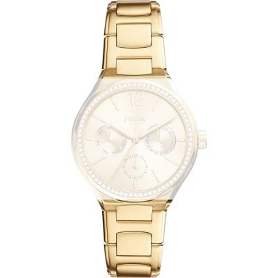 Fossil ABQ3722 Eevie Strap