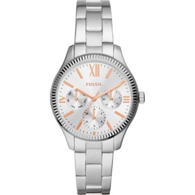 Montre Fossil BQ3690 Rye