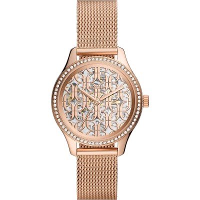 Montre Fossil BQ3713 Rye