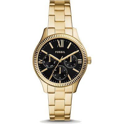 Montre Fossil BQ3757 Rye