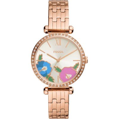 Montre Fossil BQ3878 Tillie