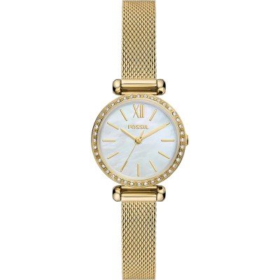 Montre Fossil BQ3898 Tillie Mini