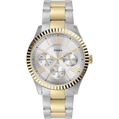 Montre Fossil FS5988 Chapman