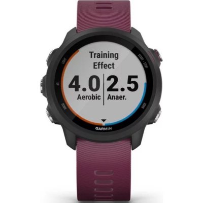 Montre Garmin 010-02120-11 Forerunner 245