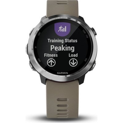 Montre Garmin 010-01863-11 Forerunner 645