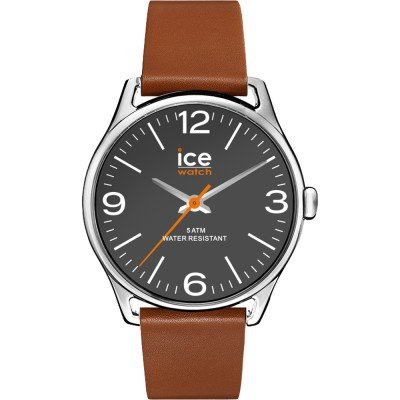 montre Ice-Watch 020236