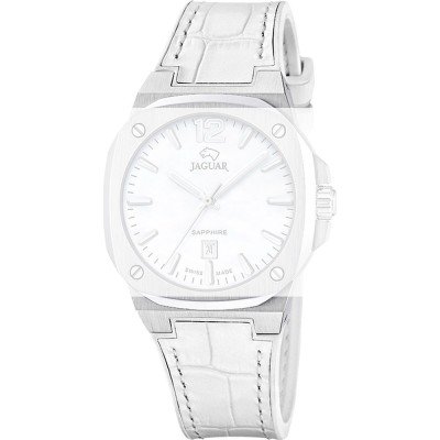 Jaguar BC11762 Executive Lady Band