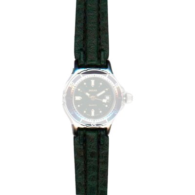 Jaguar BC00494 J762/763 Strap