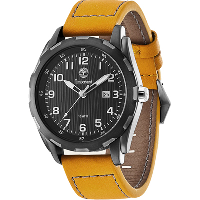 Montre Timberland TBL.13330XSU/02 Newmarket