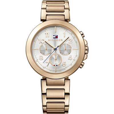 Tommy Hilfiger Tommy Hilfiger Watches 1781452 Cary montre