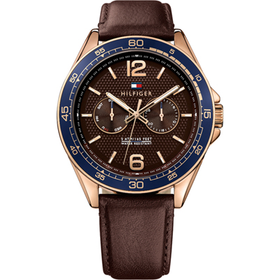 Montre Tommy Hilfiger 1791367