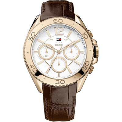 Tommy Hilfiger Tommy Hilfiger Watches 1791031 Grant Uhr