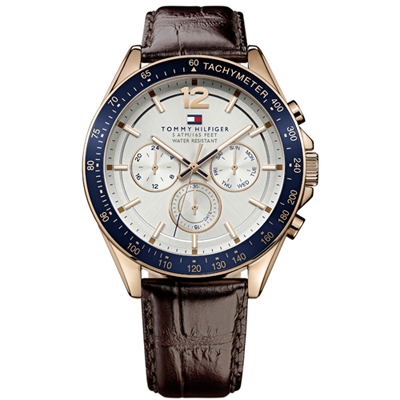 Tommy Hilfiger Tommy Hilfiger Watches 1791118 Luke montre